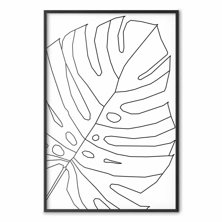 Rysunek monstery - czarno-biały line art liścia monstery na jasnym tle