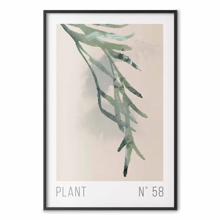 Roślina numer 58 [Poster]
