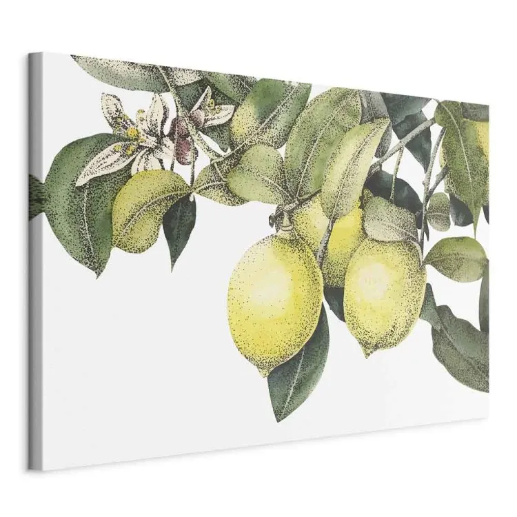 Cytryny i liście (1-częściowy) - kolorowe cytrusowe owoce na drzewie