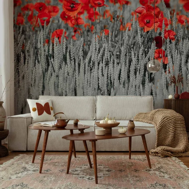 Czerwone maki w czarno-białym zbożu - kontrastowa abstrakcja kwiatów