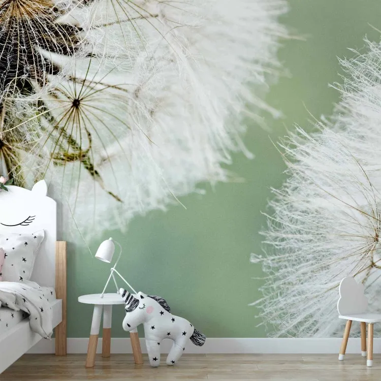 Dwa dmuchawce - motyw roślinny ze zbliżeniem na kwiaty z rozmytym tłem