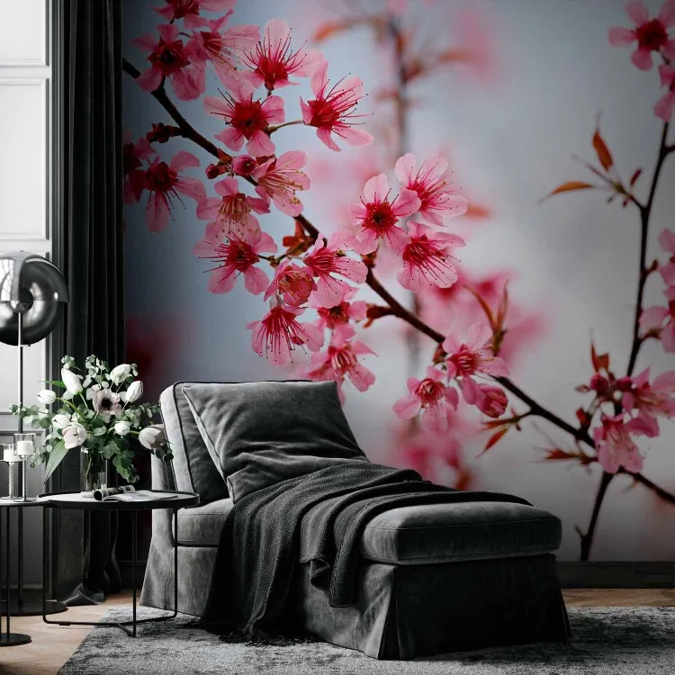 Symbol Japonii - kwiaty wiśni sakura - jasny japoński motyw roślinny